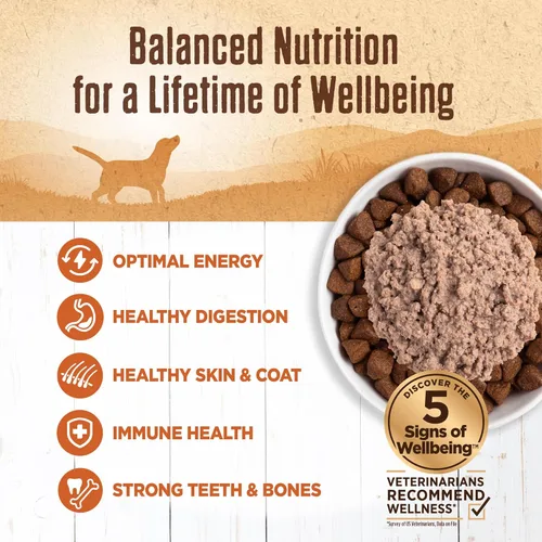 Miniatura 3 de Alimento húmedo Wellness enlatado para perros, sin granos, 95% natural, lata de 13.2 onzas (paquete de 12), Anaranjado