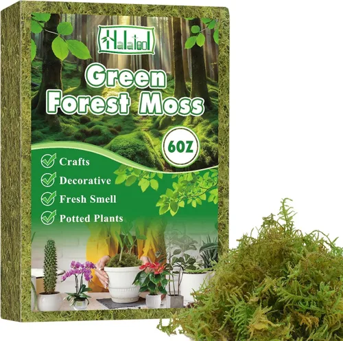 Halatool 6OZ de musgo verde para plantas de interior, 8QT de musgo de orquídea para replantar, musgo de bosque para plantas en maceta, musgo real