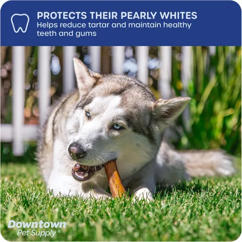Miniatura 6 de Downtown Pet Supply Bully Sticks - Golosinas dentales y masticables para perro, tiras de carne natural premium de 6 y 12 pulgadas, extra gruesas