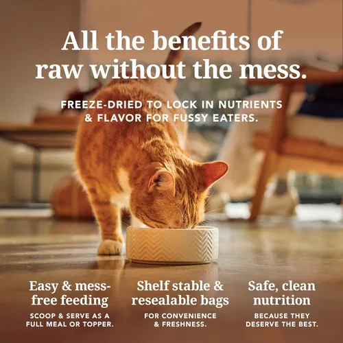 Miniatura 5 de Alimento para gatos seco de alta proteína de Feline Natural, dieta liofilizada con 98% carne, órganos y mariscos, sin guisantes, granos o aditivos