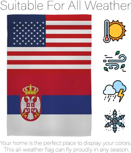 Miniatura 6 de Bandera de la Amistad de la Copa del Mundo de Serbia de Estados Unidos, asta de bandera de arte de pared para exteriores, decoración al aire libre