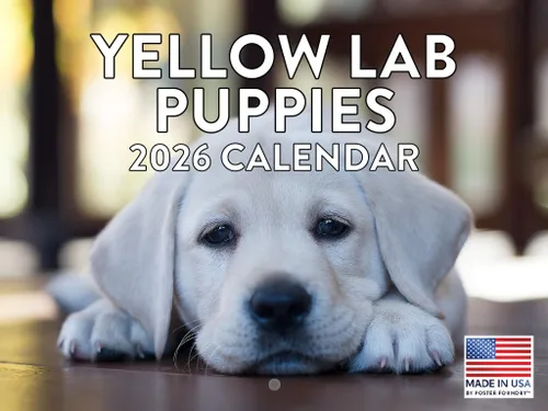 Miniatura 218 de Calendario de pared mensual 2025 Great Dane de 12 meses, fabricado en Estados Unidos