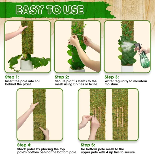 Miniatura 6 de DUSPRO Postes de musgo de malla plana para plantas trepadoras, Monstera, poste de musgo apilable para plantas con musgo real, poste para plantas