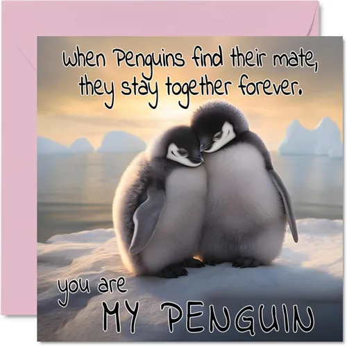Tarjeta de aniversario de pingüino – You Are My Penguin – Bonita tarjeta romántica para el día de San Valentín para novia, novio, esposa, marido,
