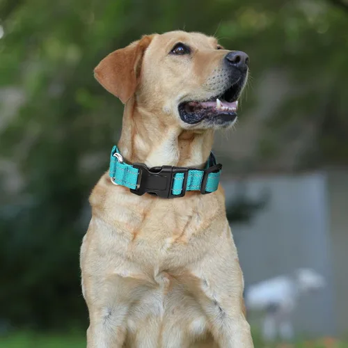 Miniatura 2 de Collares de perro Martingala reflectantes. Collar de perro con hebilla de liberación rápida. Collar ajustable de nailon transpirable acolchado suave