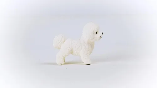 Miniatura 4 de Schleich Farm World - Figura de perro de juguete Bichon Frise - Juguetes de animales de granja para niños y niñas - Niños a partir de 3 años