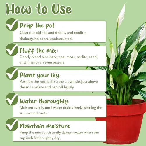 Miniatura 7 de Soil Sunrise Peace Lily - Mezcla de tierra para macetas (8 cuartos de galón) para plantar, cultivar o trasplantar plantas de lirio de la paz