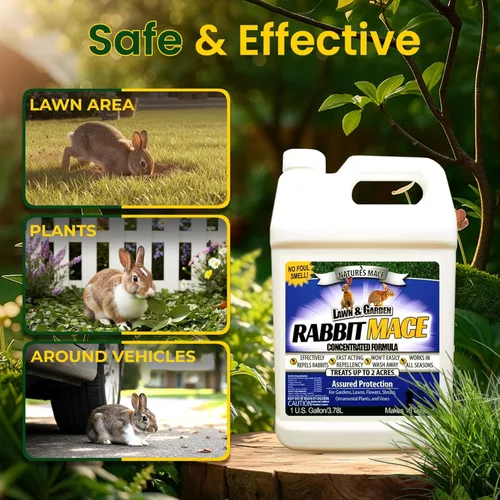 Miniatura 4 de Nature’s MACE Rabbit Mace, repelente de conejos para exteriores, 1 galón de concentrado, cubre 2 acres, aerosol disuasorio de conejos para césped