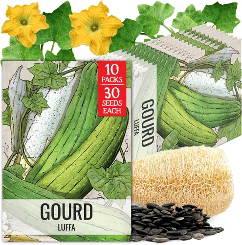 Miniatura 21 de Seed Needs Semillas de calabacín para plantar calabaza de verano Black Beauty, sin OMG, reliquia y sin tratar, rendimientos prolíficos de deliciosos