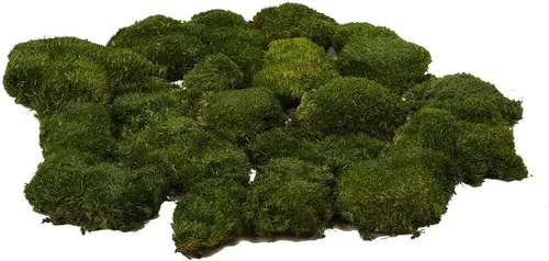 Cojín de Musgo Polar Preservado en Forma de Bollo, Verde Natural Decorativo Real Natural, Kit de Bricolaje para Terrarios, Arte de Jardín para