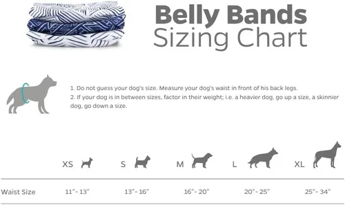 Miniatura 6 de Pet Parents® Bandas lavables para el vientre para perros machos (paquete de 3) + Extendrs® de pañales duraderos para perros machos, pañales prémium