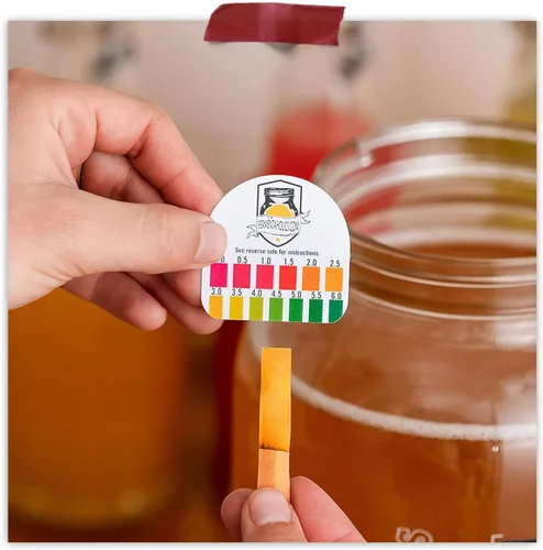 Miniatura 6 de Kombucha Essentials Kit – Incluye Kombucha Orgánica USDA SCOBY + tarro de fermentación de vidrio de 1 galón con cubierta transpirable + tiras de pH
