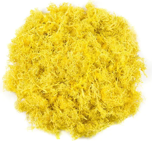 Miniatura 8 de Musgo falso de 3.5 onzas para plantas de interior, musgo blanco artificial realista preservado para manualidades, musgo de reno para centros de mesa