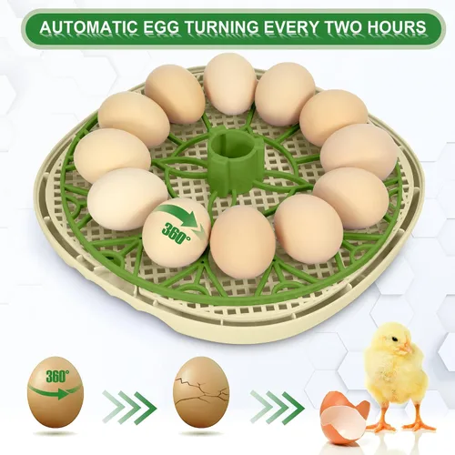 Miniatura 3 de Incubadoras inteligentes de pollo para incubar huevos con volteador automático, aves, pato, codorniz, incubadora de 12 huevos, pantalla de control