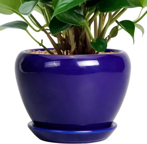 Miniatura 79 de Maceta de Cerámica Moderna con Esmalte para Suculentas con Agujero de Drenaje y Platillo, Maceta Redonda de 6 Pulgadas para Plantas de Flores