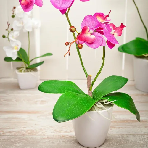 Miniatura 6 de Restaurantware Faux Fiore Violet Allium - Maceta blanca - Plantas de imitación - 14.6" - Caja de 1 unidad