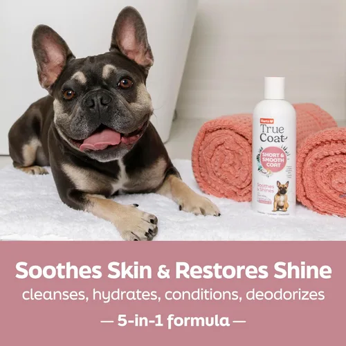 Miniatura 2 de True Coat Short & Smooth Coat - Champú para perros, 5 en 1, calma y brilla con leche de avena, aceite de coco y vitamina E, 16 onzas Corto y suave