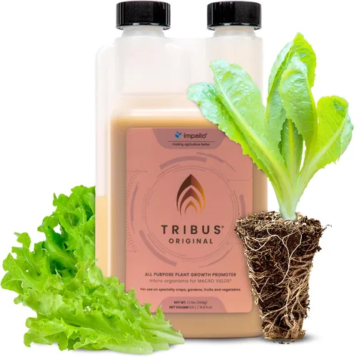 Miniatura 8 de Impello Biosciences Tribus Original, potenciador de floración a base de fósforo súper concentrado (1, 1 litro)