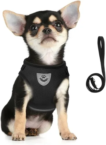 Miniatura 22 de FEimaX Juego de arnés y correa para perro, malla suave ajustable, de fácil control, chaleco ligero para gatos con tiras reflectantes, a prueba