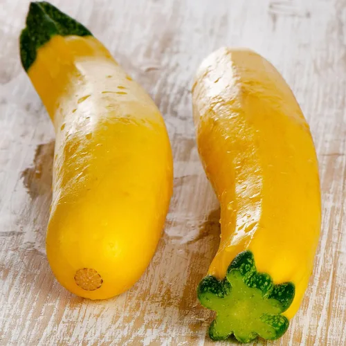 Miniatura 3 de Eden Brothers Semillas de calabaza (orgánicas) - Calabacín verde oscuro