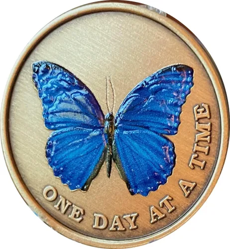 Miniatura 4 de Mariposa de color azul un día a la vez Medallón serenidad oración bronce chip