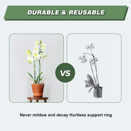 Miniatura 6 de Joyhalo Paquete de 12 estacas para plantas, estacas de soporte para plantas de 16 pulgadas, soporte de palos para plantas con 24 lazos giratorios