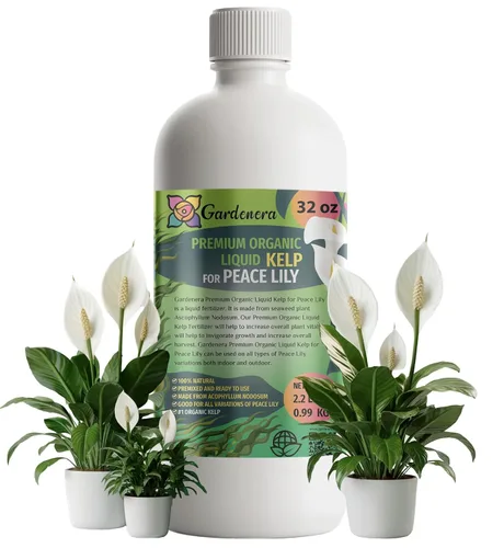 Miniatura 8 de GARDENERA Superalimento orgánico prémium de algas marinas y algas marinas para plantas AGLAONEMA, 8 onzas, concentrado de fertilizante líquido