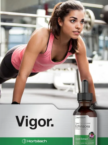 Miniatura 7 de Horbaach Echinacea Drops - Tintura de hierbas 2 onzas líquidas Extracto de raíz súper concentrado Líquido sin alcohol Suplemento