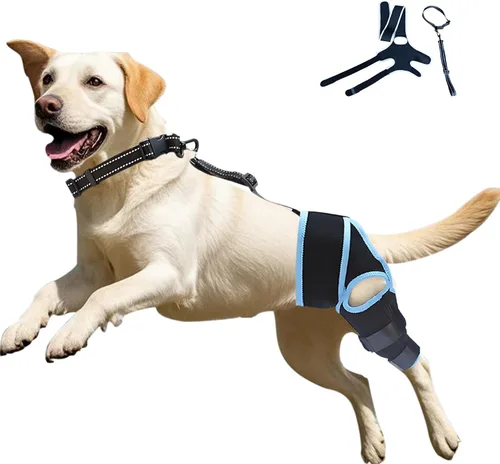 Soporte de ACL para perro con 10 cadenas de apoyo mejoradas – Proporciona apoyo adicional para piernas traseras, lesiones de ACL y articulaciones –