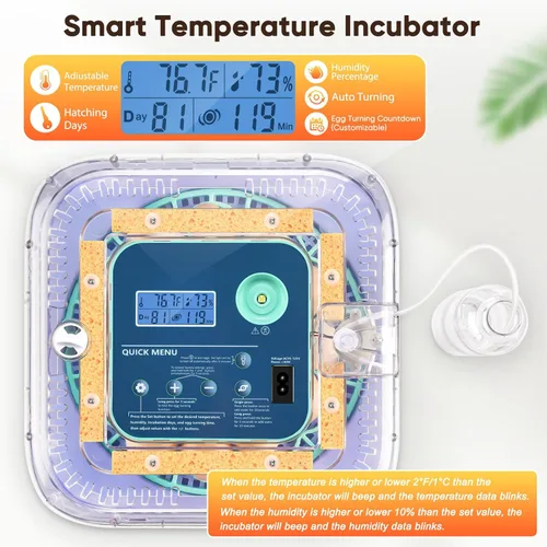 Miniatura 2 de Incubadoras para incubar huevos, incubadora inteligente de huevos con control de humedad y temperatura y girador automático, 360° View Incubadora De