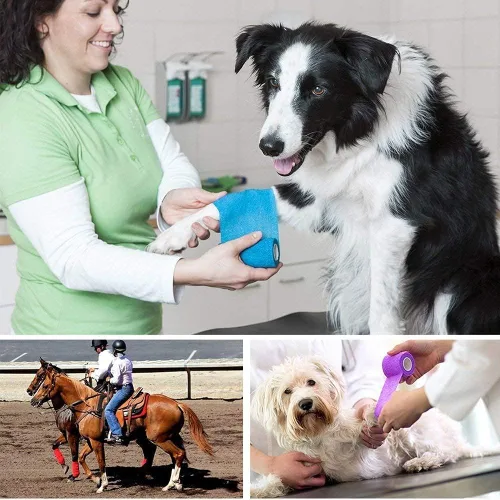 Miniatura 9 de Lotfancy 10 rollos de envoltura veterinaria autoadhesiva, vendaje cohesivo de 2 pulgadas para el cuidado de heridas, cinta elástica para mascotas