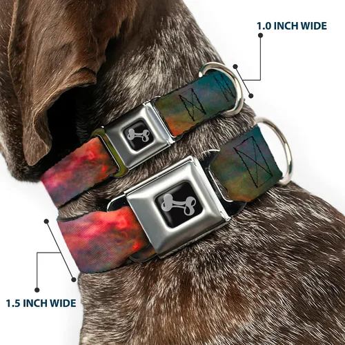 Miniatura 2 de Buckle-Down Collar de perro con hebilla de cinturón de seguridad Supernova Space Collage, multicolor, 1 pulgada de ancho, se adapta a cuello de 9 a