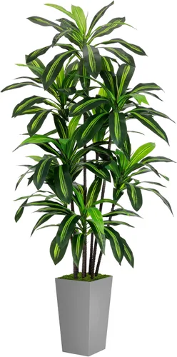 Miniatura 9 de Árbol artificial de Dracaena de 5 pies, árbol falso con maceta alta negra, planta falsa de yuca sintética en maceta, planta artificial para el Negro