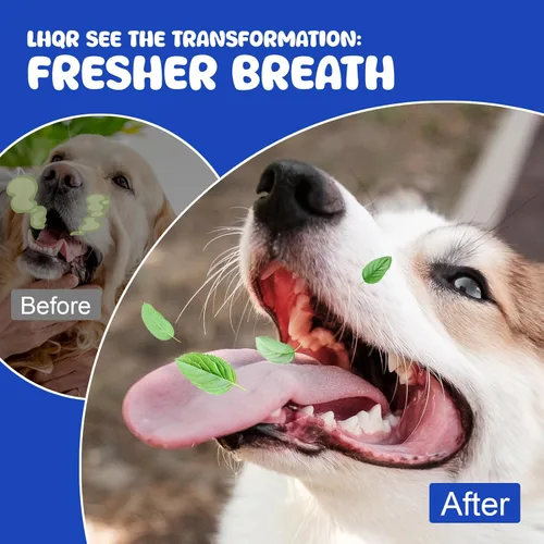 Miniatura 7 de Polvo dental para perros para aliento más fresco, polvo de limpieza de dientes de perro, placa natural y soporte de sarro con probióticos y enzimas