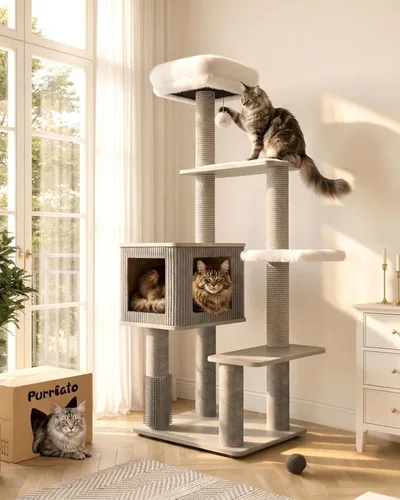 Maine Coon - Árbol para gatos grandes, torre moderna de árbol para gatos con plataformas de felpa, árboles resistentes para gatos de interior