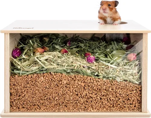 Niteangel Caja de excavación visible para hámsteres sirios, enanos, Roborovski, Campbell, jerbos, ratones, limming, degus u otras mascotas de tamaño