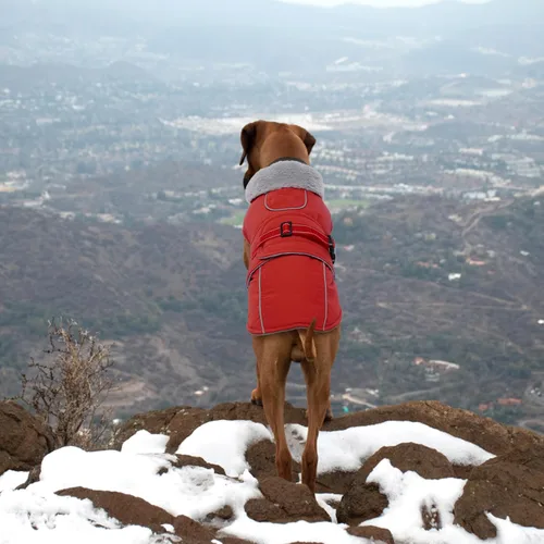 Miniatura 7 de Lelepet Abrigo cálido para perros – Chaleco reflectante impermeable de vellón con hebilla ajustable de gancho y bucle, chaqueta de invierno Rojo