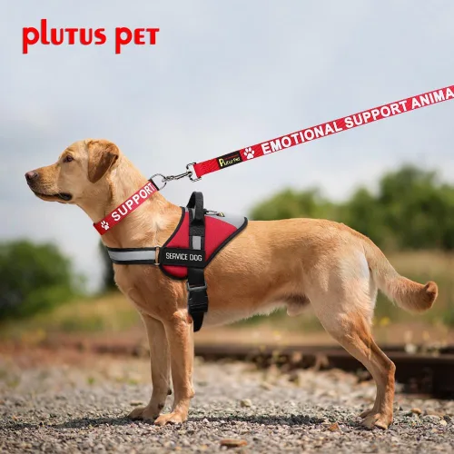Miniatura 5 de Plutus Pet Collar de animal de soporte, impreso en letras grandes en correas de nailon, evita accidentes al advertir a otros de tu perro