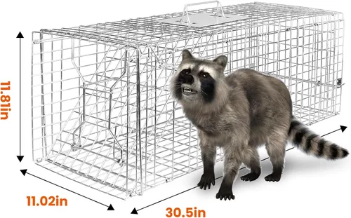 Miniatura 2 de Trampa de jaula de animales vivos de 31 pulgadas, trampa plegable resistente para gatos callejeros, mapaches, ardillas, zorrillos, marmotas, topos