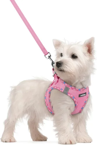 Miniatura 120 de rabbitgoo Juego de arnés para perro de tamaño pequeño y correa, chaleco ligero suave para cachorro, arnés de malla transpirable para mascotas