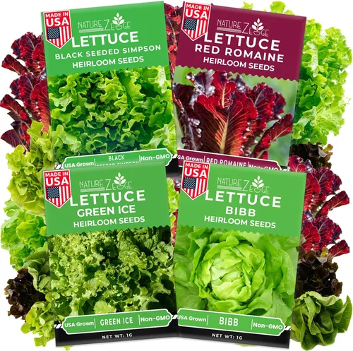 Semillas de lechuga para plantar, lechuga romana roja, lechuga mantecosa Bibb, Simpson de semilla negra, lechuga iceberg Green Ice, sin OGM..