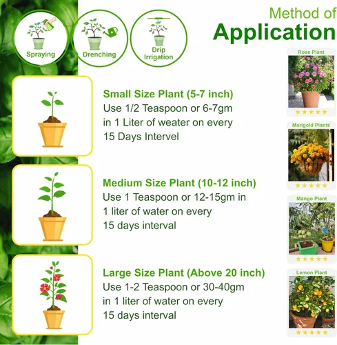 Miniatura 6 de Go Garden MKP (fosfato monotásico) NPK 00 52 34 Fertilizantes para plantas, jardín y todos los cultivos 900 G Nutrición en aerosol foliar soluble