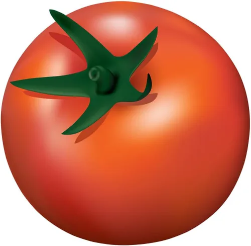 Miniatura 2 de Semillas de tomate Marglobe - Tomate grande - Uno de los tomates más deliciosos para el cultivo doméstico, más de 200 semillas