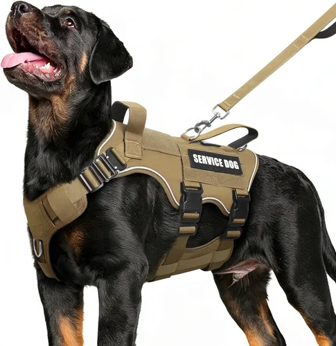 Miniatura 10 de Juego de chaleco y correa táctico para perro de servicio, arnés resistente con hebillas de metal para perros de tamaño mediano, chaleco ajustable