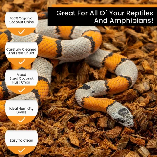 Miniatura 5 de BabiChip - Sustrato de chips de coco para reptiles, 12 cuartos de galón, ropa de cama suelta de tamaño pequeño para pitones de bola, otras