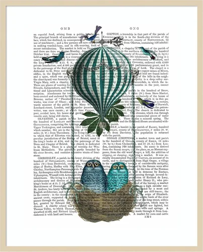 Miniatura 6 de Amanti Art Fab Funky - Póster enmarcado para pared, diseño de nido de globo de búho de 24 x 20 pulgadas, arte de pared de animales, decoración
