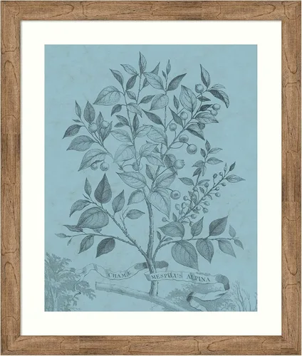 Miniatura 11 de Amanti Art Vision Studio - Póster enmarcado de 24 x 20 pulgadas, diseño botánico en V verde azulado por Vision Studio, arte de pared de naturaleza