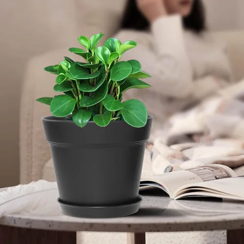 Miniatura 5 de WOUSIWER Paquete de 16 macetas de plástico de 6 pulgadas para macetas de interior, resistentes y elegantes de 6 pulgadas para plantas