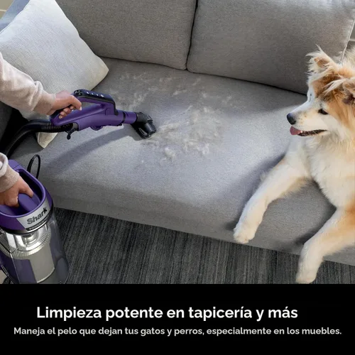 Miniatura 12 de Shark POWERDETECT AZ4002 - Aspiradora vertical con filtro HEPA, aspiradora resistente con potente succión para recoger el pelo de las mascotas