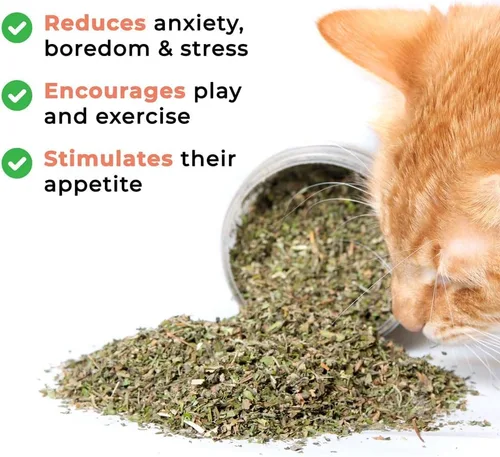 Miniatura 4 de Whiskertons Hurrb Hierba gatera para gatos y gatitos, 100% naturales y seguras golosinas de hierba gatera utilizada para juguetes y accesorios